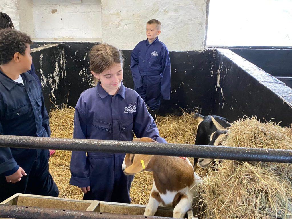 The Winns Primary School | Year 6 Trip to Treginnis Farm